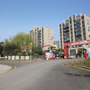 兗州碧桂園小區路面工程